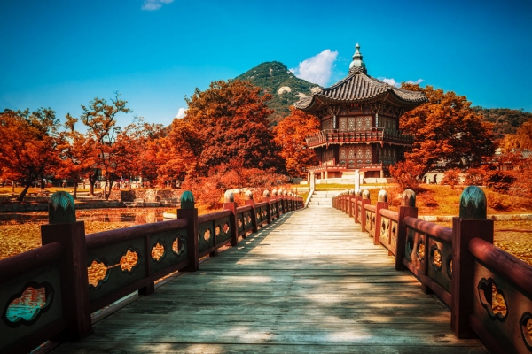 KHÁM PHÁ XỨ SỞ KIM CHI