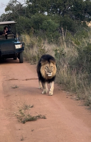 (QR) KHÁM PHÁ NAM PHI HOANG DÃ & HIỆN ĐẠI DỊP TẾT ÂM LỊCH 2026